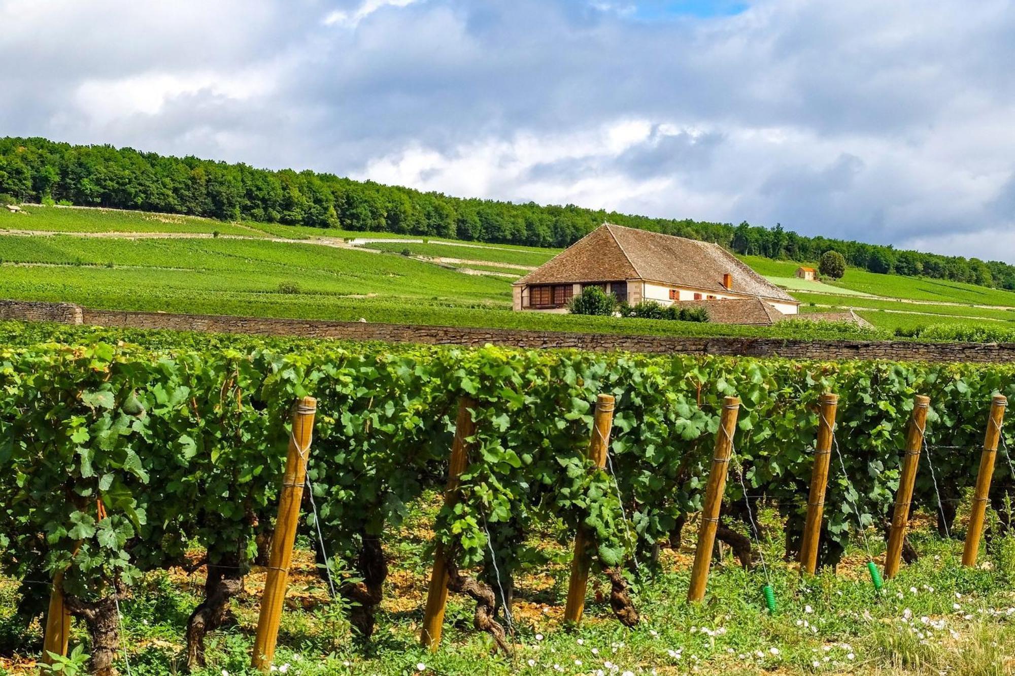 Voco Beaune , Cite Des Vins By Ihg Kültér fotó